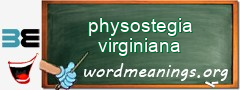 WordMeaning blackboard for physostegia virginiana